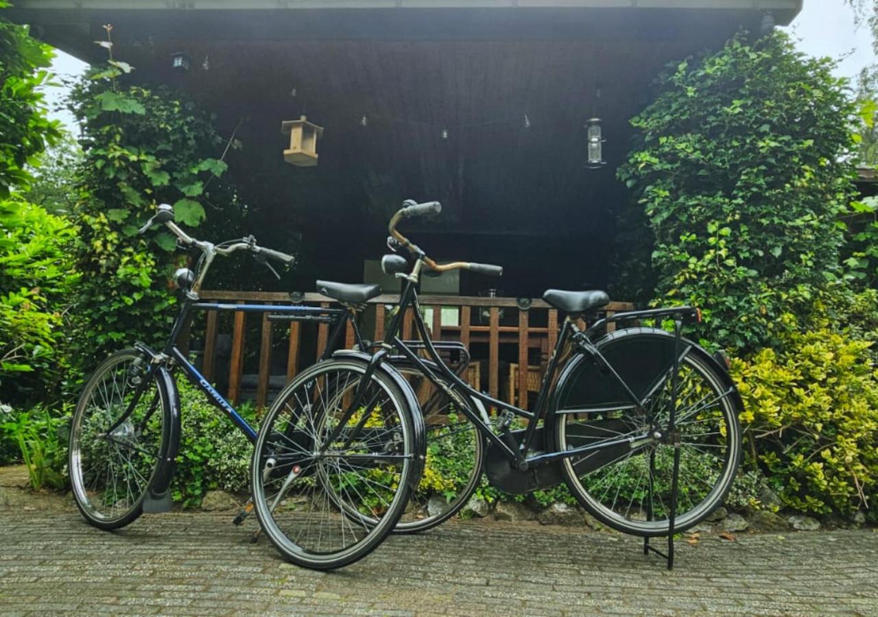 "De Jungle" Chalet Met Veranda Op Ijsselheide Hattemerbroek Veluwe 외부 사진